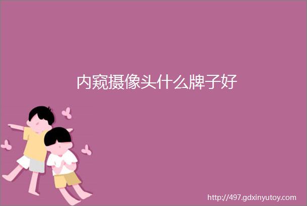 内窥摄像头什么牌子好