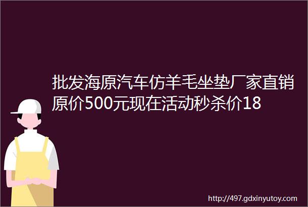 批发海原汽车仿羊毛坐垫厂家直销原价500元现在活动秒杀价180元